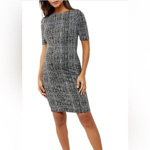 NWT Pea In the Pod Maternity Dress